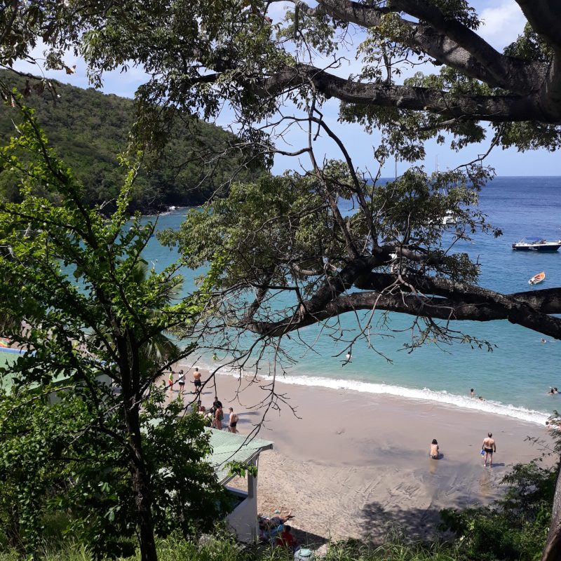 Martinique Scenic 15