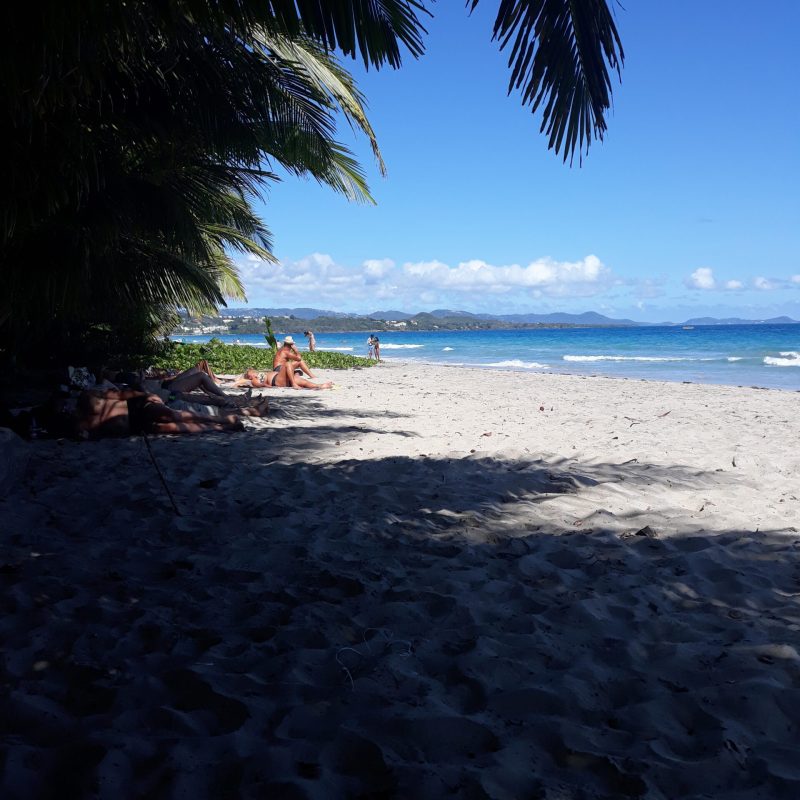 Martinique Scenic 15