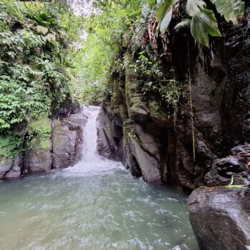 20231213_101749-scaled