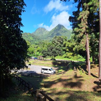 20231219_102229-scaled