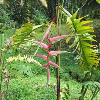 20231219_111659-1-scaled