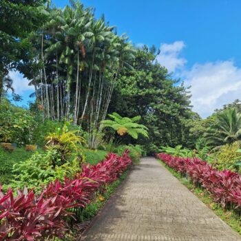 20231219_111927-scaled