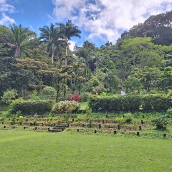 20231219_112332-1-scaled