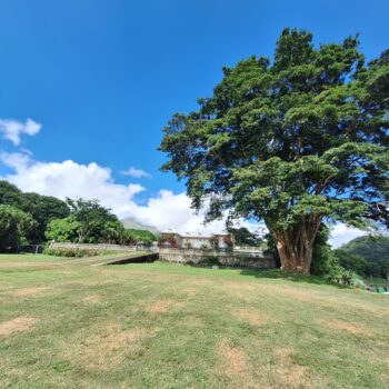 20231220_134418-scaled