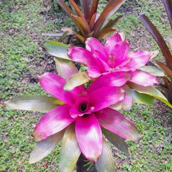 20231222_135655-scaled