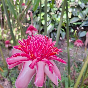 20231222_135809-scaled