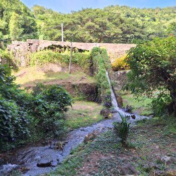 20231222_140008-scaled