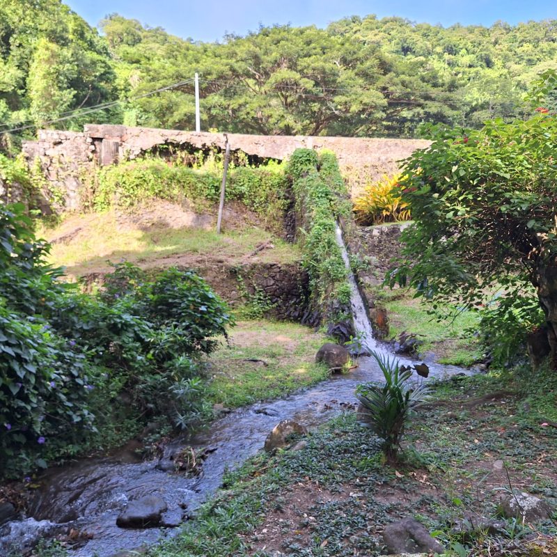 Martinique Scenic 11