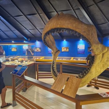 20231229_102154-scaled-qhj1umiur2xoomzbr0ysndguhaxfmd0oaddoa2dohs