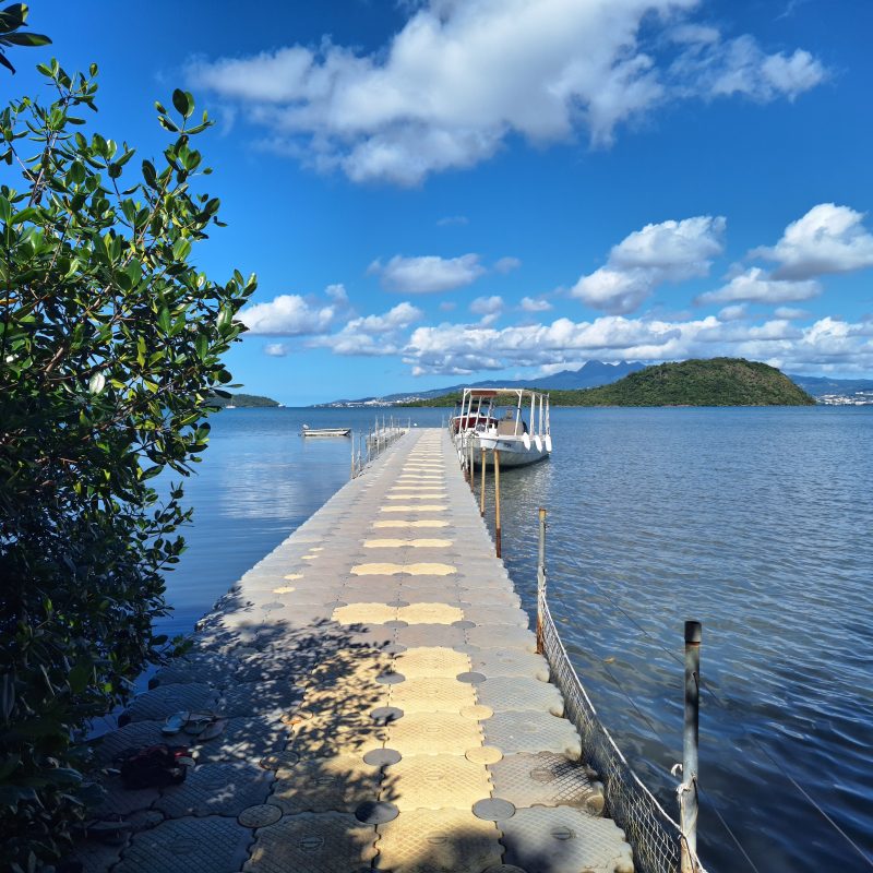 Martinique Scenic 15