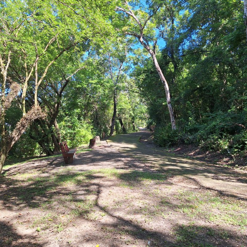 Martinique Scenic 15