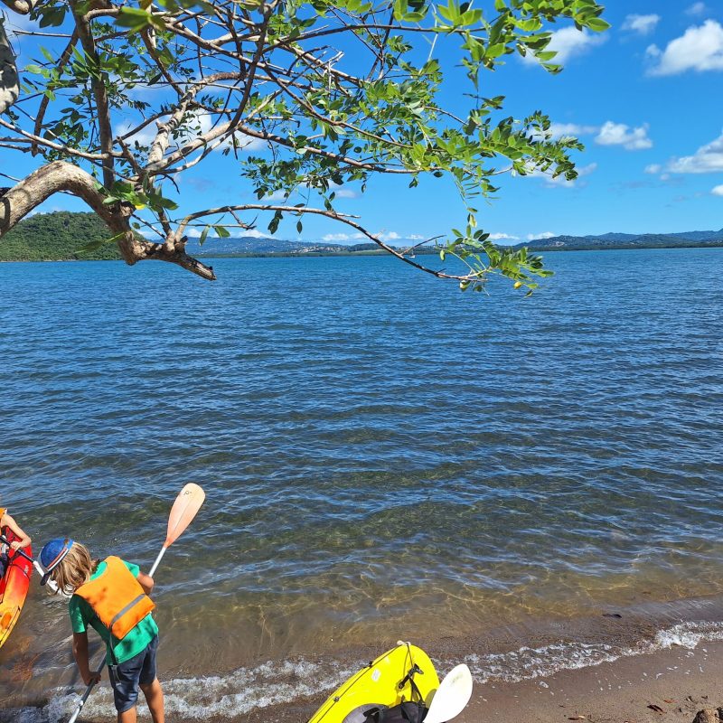 Martinique Scenic 15