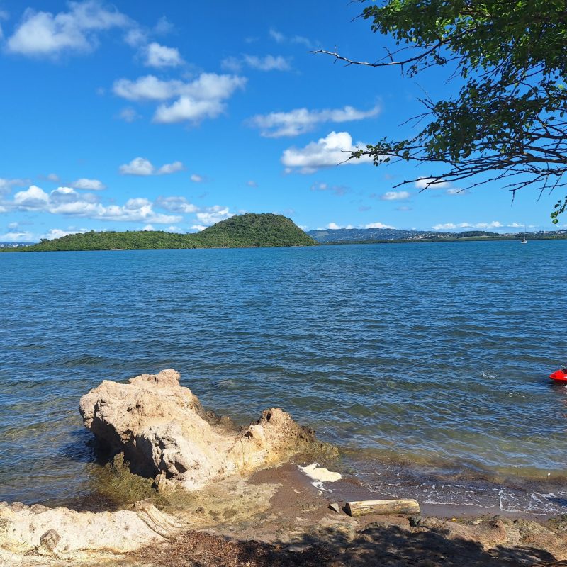 Martinique Scenic 15