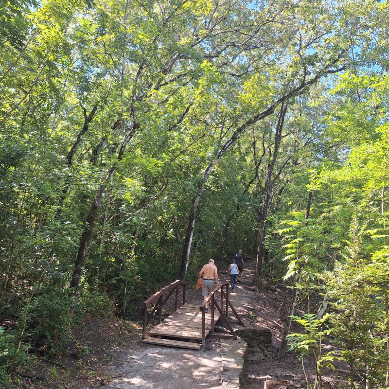 Martinique Scenic 15