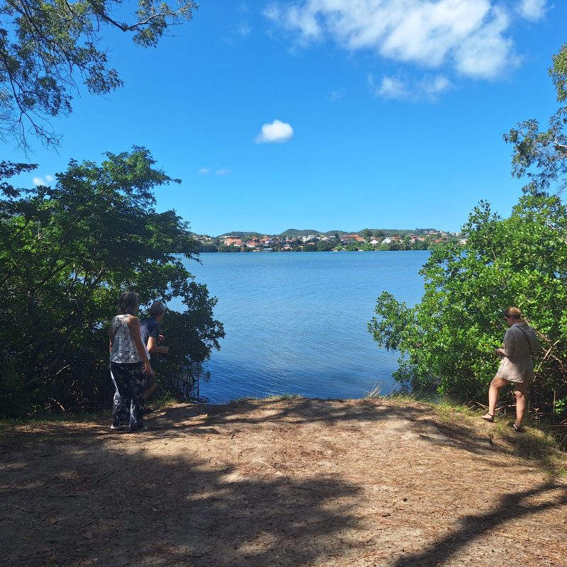 Martinique Scenic 15