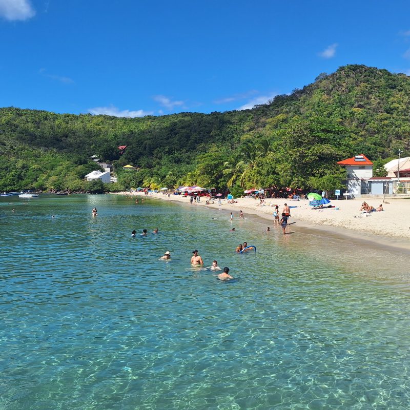 Martinique Scenic 15