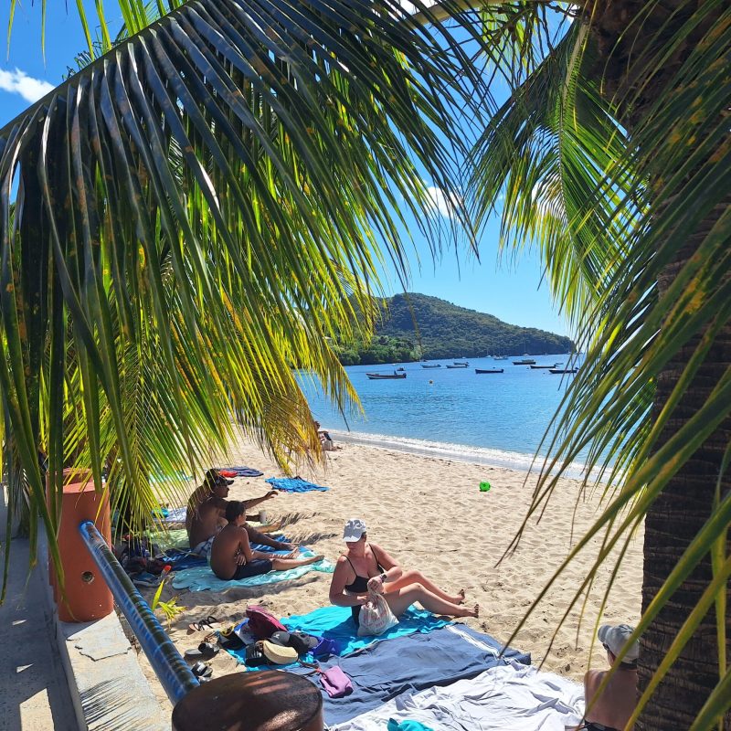 Martinique Scenic 15