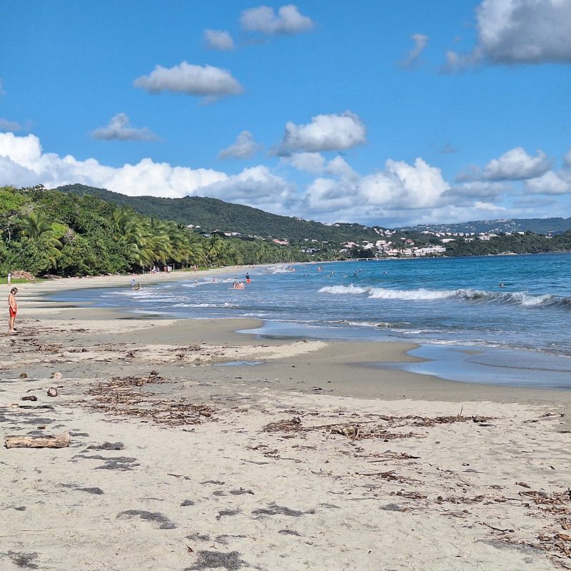 Martinique Scenic 14