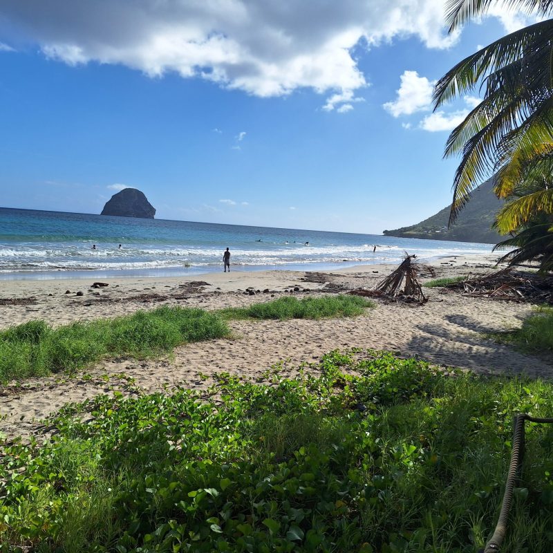 Martinique Scenic 11