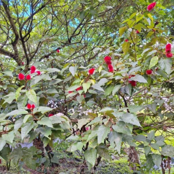 IMG_20231219_175948_998