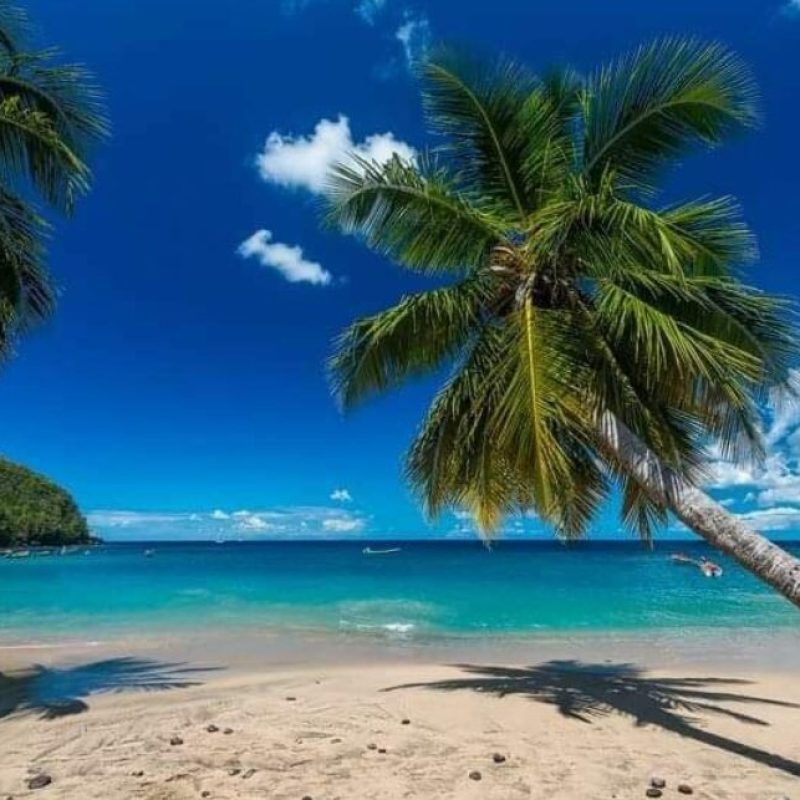 Martinique Scenic 15