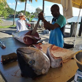 WhatsApp Image 2025-09-18 at 19.41.12_75ecddbf