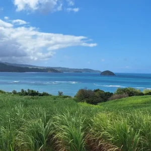 North Atlantic Private Tour 3 North Atlantic Private Tour 3